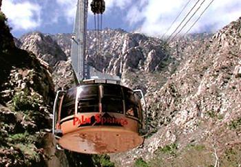 Courtyard Palm Springs