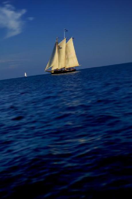 Hyatt Key West Resort and Marina