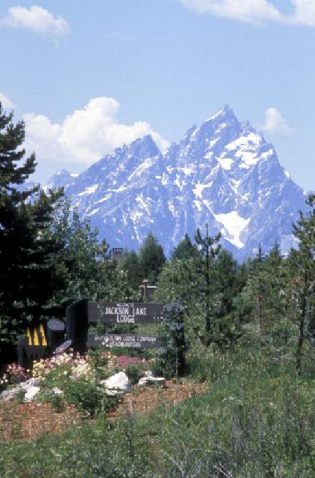 Jackson Lake Lodge