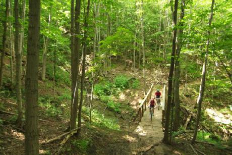 Blue Mountain Resort