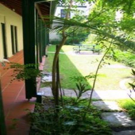 Avonmore on the Park