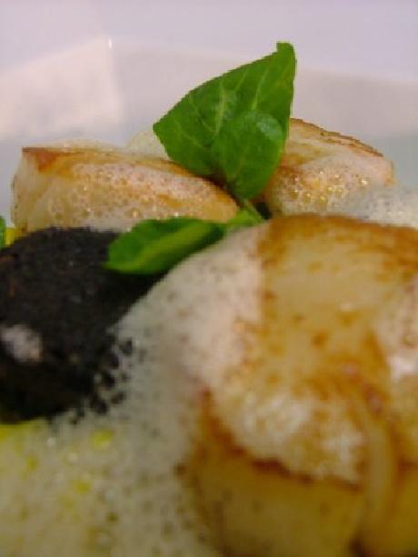 The Rees Hotel & Luxury Apts