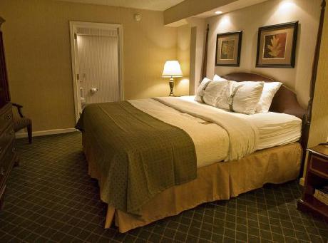 Holiday Inn BUFFALO-INTL AIRPORT