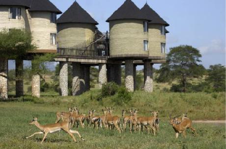Sarova Salt Lick Game Lodge