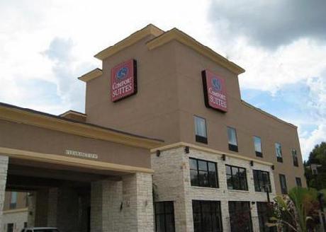Comfort Suites Jewett