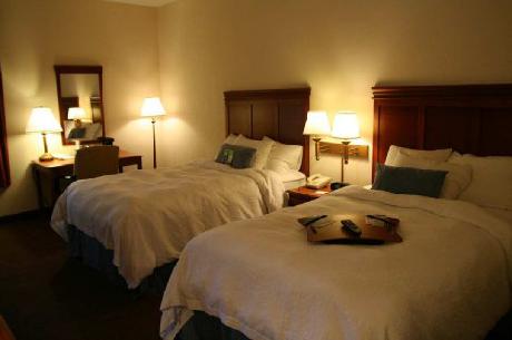 Hampton Inn AlbanyWolf Road