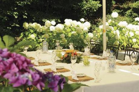 Ringhotel DerWaldkater Rinteln