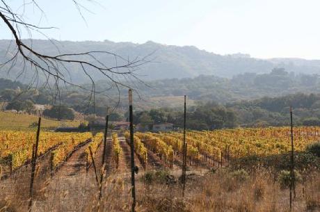 Hampton Inn  Suites Rohnert Park  Sonoma County