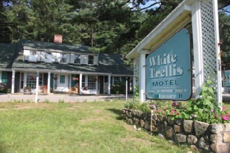 White Trellis Motel