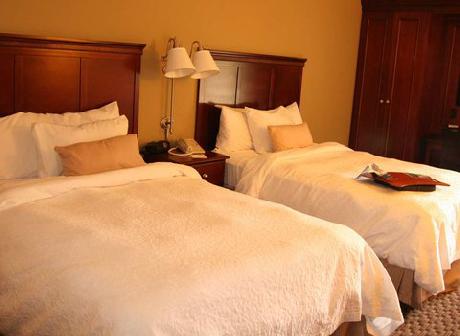 Hampton Inn DetroitMadison HtsSTroy