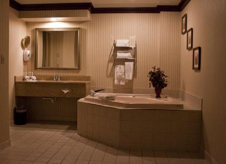 Holiday Inn Express Hotel & Suites MENTOR (LAMALFA  CONF CENTRE)