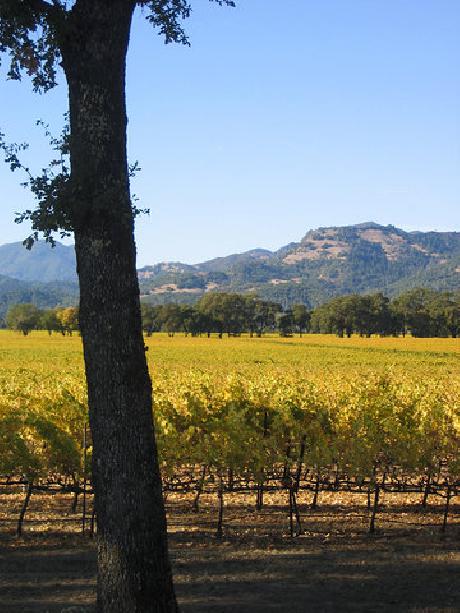 Ambrose Bierce House