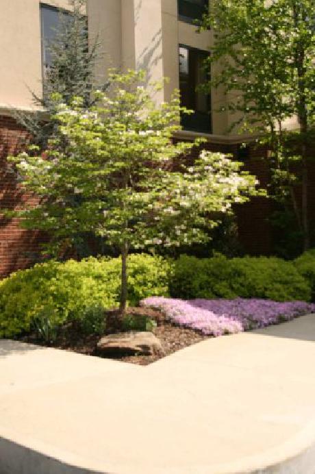 Hampton Inn  Suites Hazard