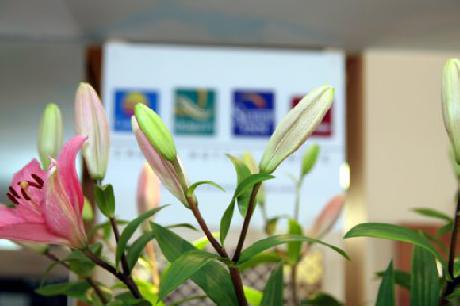 Comfort Hotel Galaxie