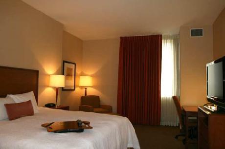 Hampton Inn  Suites DenverDowntown