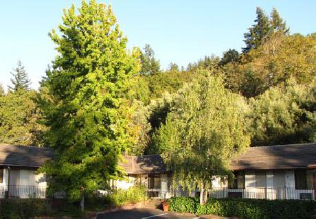 Humboldt Redwoods Inn