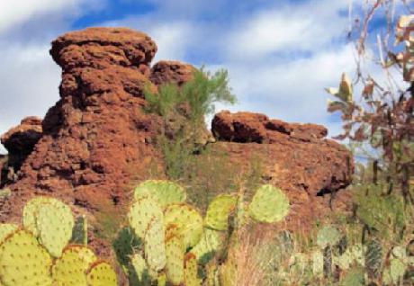 TownePlace Suites Scottsdale