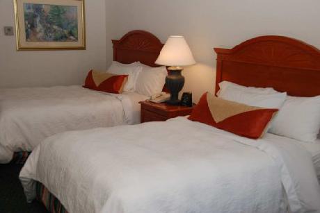 Hilton Garden Inn Austin NWArboretum