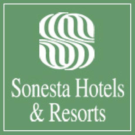 Chateau Sonesta Hotel