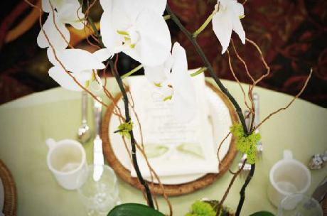 Hilton Garden Inn Jacksonville/Ponte Vedra