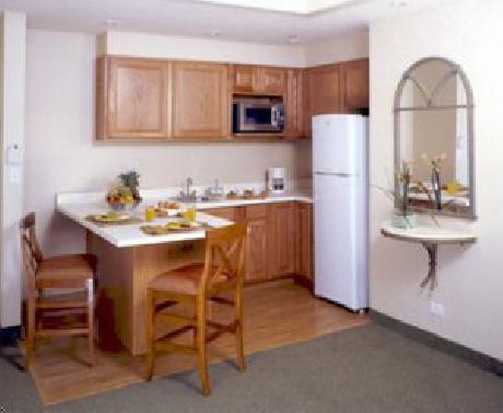 DTREE by Hilton Saltillo