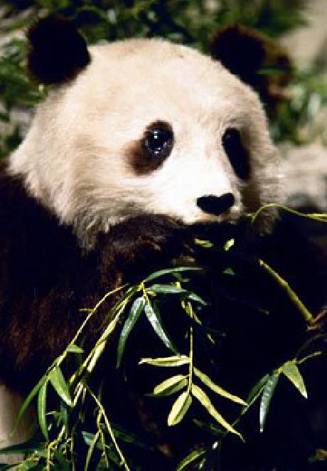 Courtyard Atlanta Buckhead