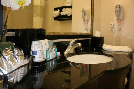 Hampton Inn  Suites Chicago SouthlandMatteson
