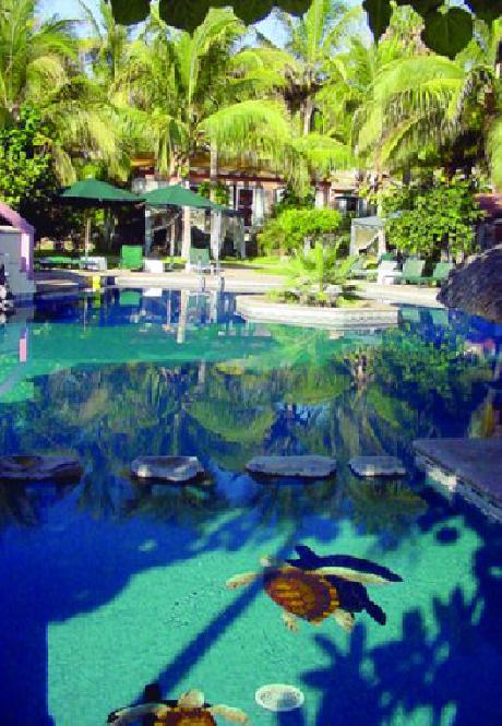 Hotel Buena Vista Beach Resort