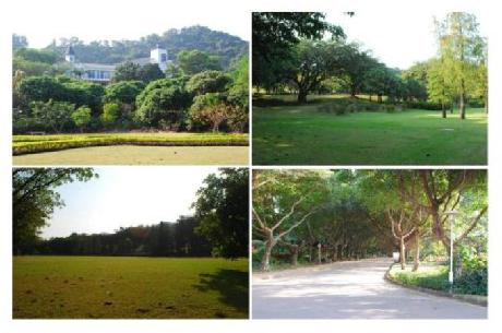 Kylin Villa Garden Hotel Luxury