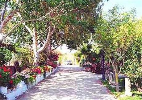 Baha Ammes Apartments