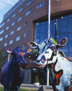 Golden Tulip Amsterdam Art