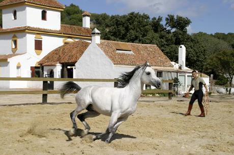 Fairplaygolf Hotel And Spa