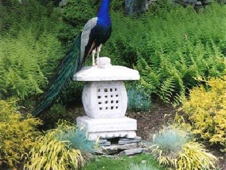 Blue Horizon Bed and Breakfast