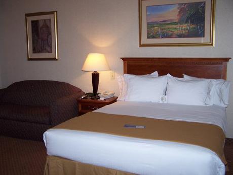 Holiday Inn Express Hotel & Suites KALAMAZOO