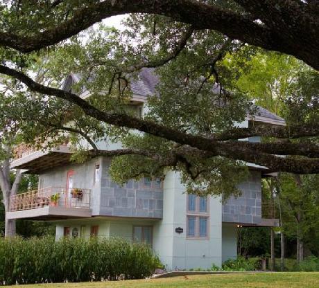 Abigaile's Treehouse