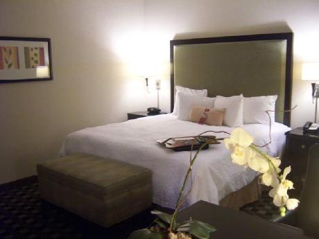 Hampton Inn & Suites Houston-Bush Intercontinental Aprt, TX