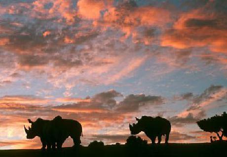 Courtyard San Diego Central