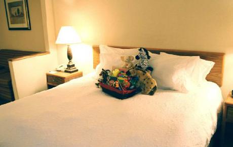 Hampton Inn Johnson CityBinghamton