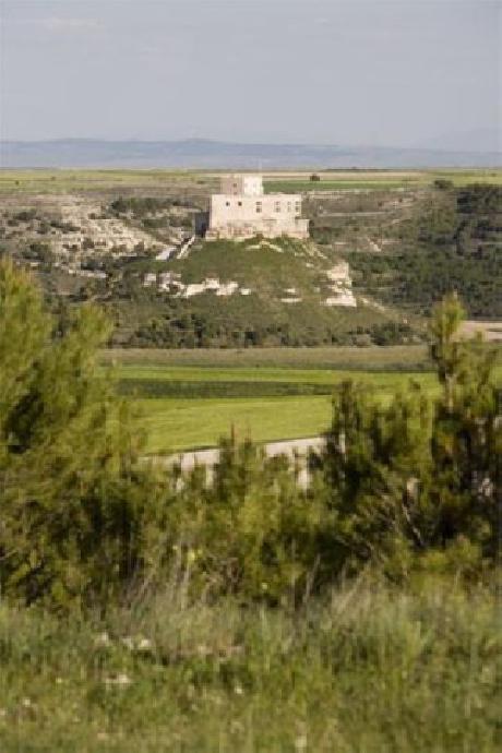 Domus Selecta Resid. Real Castillo De Curiel