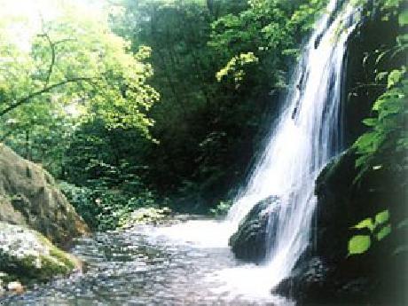 Jing An Peony Plaza Luoyang