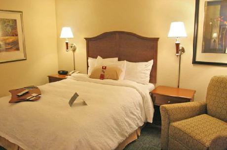 Hampton Inn  Suites Indianapolis