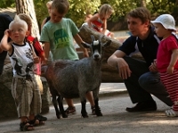 Зоопарк Скансен в Стокгольме