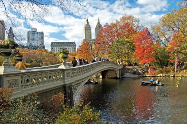 autumn in New York