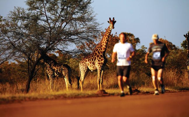 Big Five Marathon
