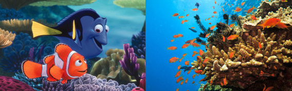 Большой барьерный риф