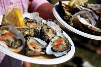 Rock Oyster Festival