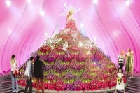 Цветочная выставка в Хайфе