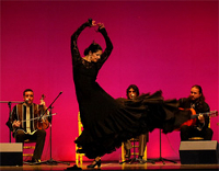 Reykjavik Art Festival