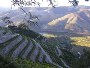 Portugal Douro