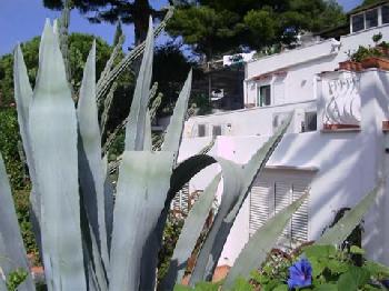 La Reginella Capri